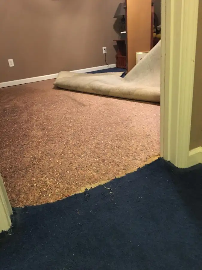Carpet pad removal revealing water damage during Water Mitigation Services in Ferry Pass