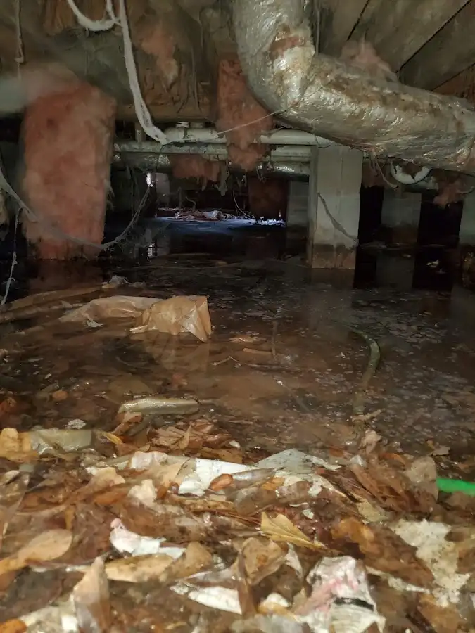 Crawl space flood assessment for Leak Detection & Repair in Ferry Pass