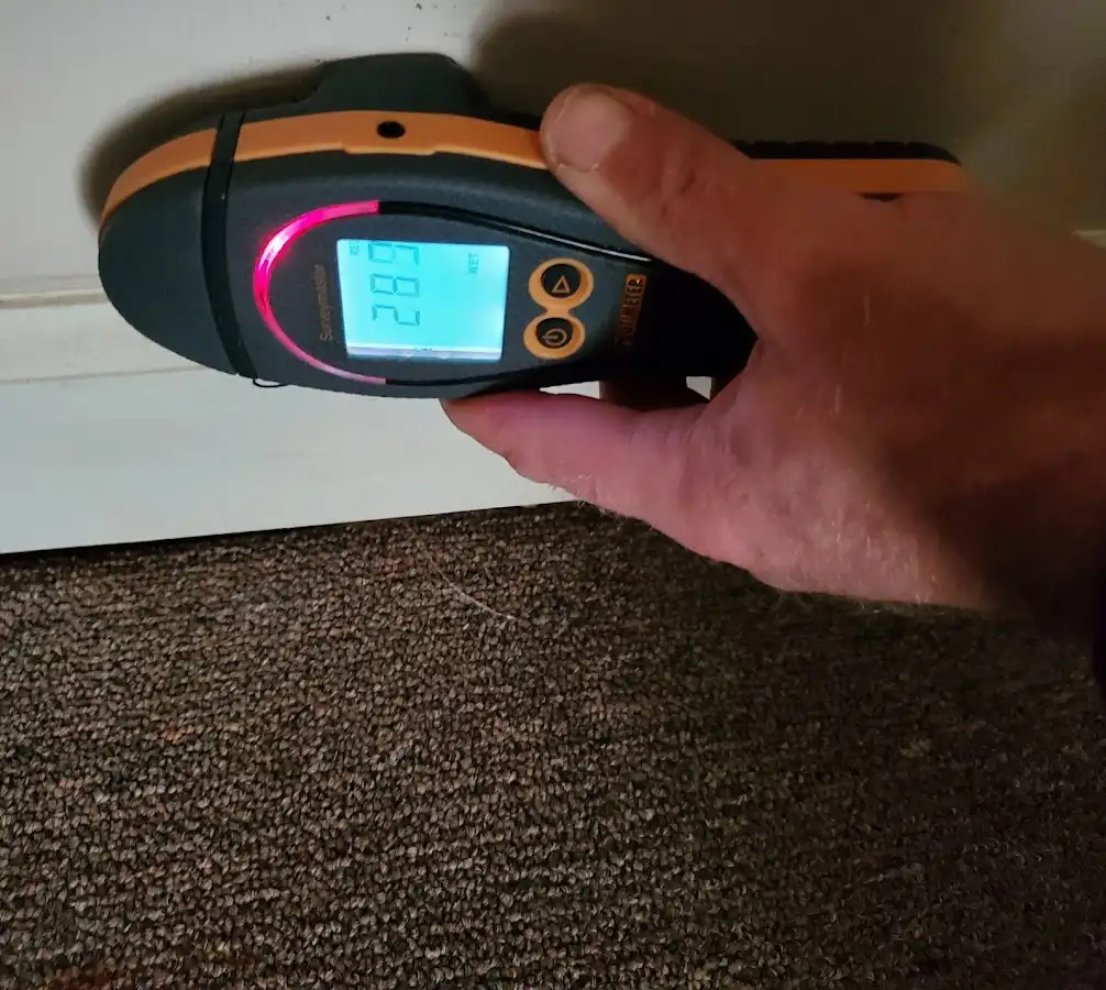 Moisture detection at baseboard during Mold Inspection & Testing in Ferry Pass